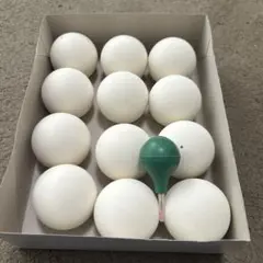 Item thumbnail for item 12b05bc2-de2e-4686-a83e-53016fd13a92