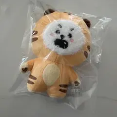 BT21 RJ タイガーたっとん　ぬいぐるみ　マスコット