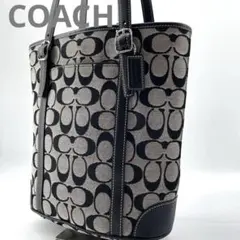 未使用級✨コーチ シグネチャー ハンドバッグ キャンバス レザー 黒