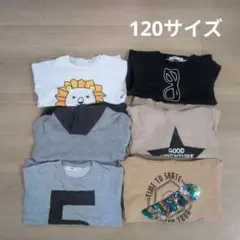 トレーナー 男の子 100