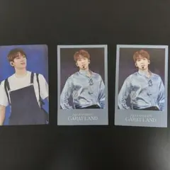 SEVENTEEN CARATLAND 2024 ウォヌ VOD特典