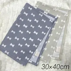 ランチョンマット2枚セット　【No.66】　30×40 リボン　女の子