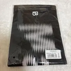 Item thumbnail for item 87dce5a8-995a-49cb-a867-5daaaf2cf72d