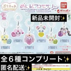 ぷちきゅあ めじるしアクセサリー♡全6種コンプリート コンプ✨