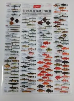 Item thumbnail for item 4d56ccac-a159-443d-b168-4e45c0059676