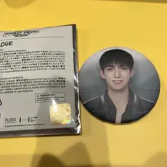 SEVENTEEN RIGHT HERE ドギョム　缶バッジ