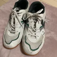 体育館シューズ ホワイト/グリーン メンズ25.5㎝