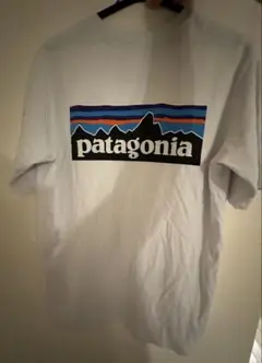 Patagonia tシャツ
