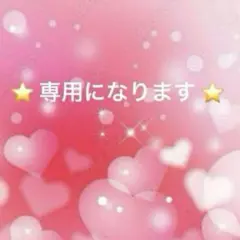 ⭐️ ももたろう様専用 ⭐️