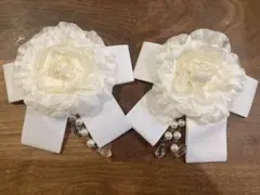 Item thumbnail for item 69ca3167-f9c1-4422-9a0d-ded1147d7a94