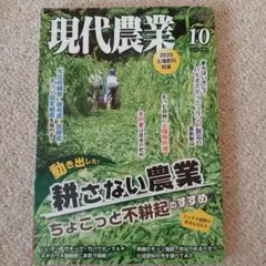 Item thumbnail for item 41615e61-2869-46df-bfac-d98e0d62bded