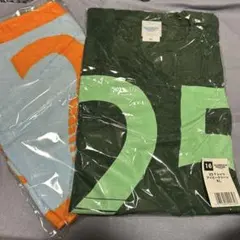 Item thumbnail for item 7fedca1d-ef94-4fd0-9724-192e04381661