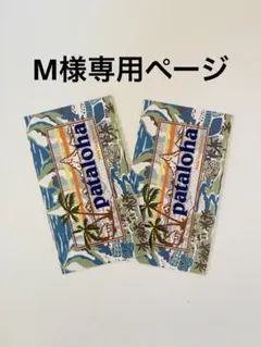ハワイ限定❗️パタロハ　希少価値　パタゴニア ステッカー