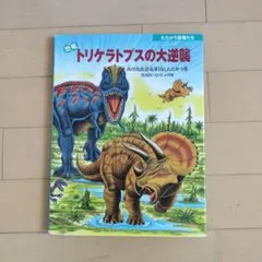 たむ様 リクエスト 2点 まとめ商品