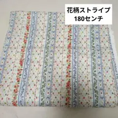 Item thumbnail for item 147e039b-6318-44d4-b3b3-52797ef692ed