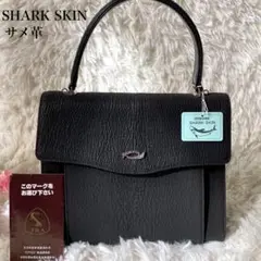 トップハンドル ハンドバッグ