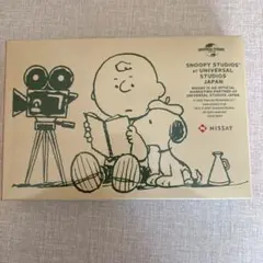 スヌーピー タオル 2枚セット