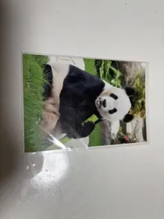 Item thumbnail for item 3096ecd2-757a-4a3a-830c-f4a677b7a7a5