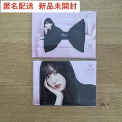 Wonjungyo TWICE MOMO モモ　カード
