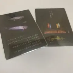 舞台 ハリー・ポッターと呪いの子 クリアカード - メルカリ
