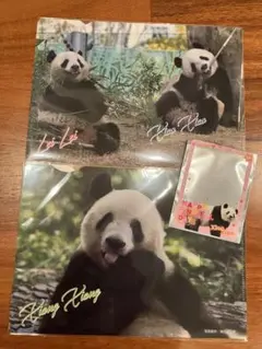 2025年最新】シャンシャン クリアファイル 松坂屋の人気アイテム