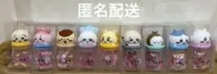 ちいかわキャンディボトル　9種セット⑨