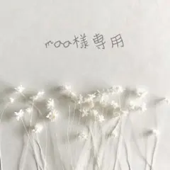 ❁﻿ maa様専用ページ❁﻿