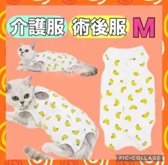 Item thumbnail for item 70ac0003-e3f8-4223-84f1-9ceebf504e89