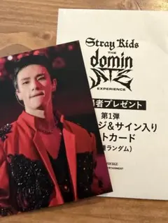 ☆StrayKids dominATE 入場特典 トレカ ヒョンジン‪☆ - メルカリ‬