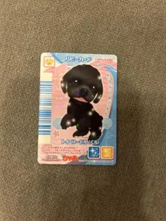 ワンタメパピーカード　トイプードルくろ