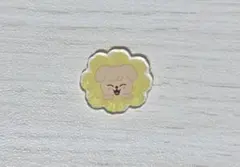 SKZOOスキズ カスタムアクリルキーホルダーパーツ　パピーム