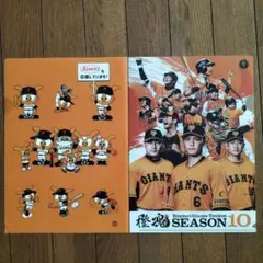 読売ジャイアンツ「橙魂（とうこん）SEASON 10」A4クリアフォル 非売品