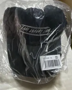 激レア 與真司郎プロデュース IAMWHATIAM トレーナースウェット レッド