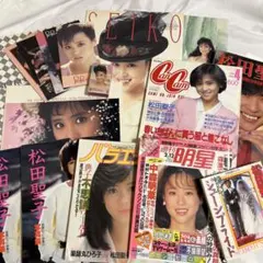 松田聖子 17点 写真集 会報 グッズセット④