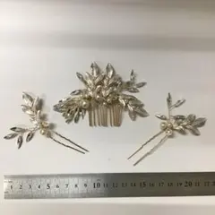 Item thumbnail for item 5e0756ce-7710-417d-a63e-eb1af2e8f419