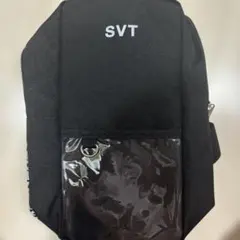 2026年最新】seventeen ペンライト ケースの人気アイテム - メルカリ