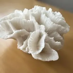 サンゴ デザイン　置物 オブジェ
