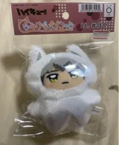 ハイキュー！！ 北信介　ちみけもますこっと ぬいぐるみ