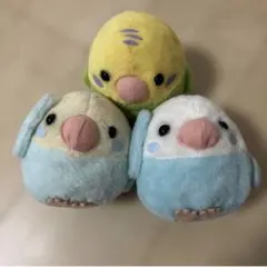 AMUSE ことり隊 ぬいぐるみ マスコット 3点セット セキセイインコ インコ