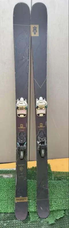 スキー VectorGlide R25 186cm GS VectorGlide R25 186cm GS - メルカリ
