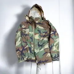 Item thumbnail for item 07d30e42-c123-47a3-b2c6-c72a14c81355