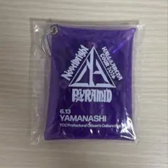 Novelbright ジャスティン 山梨のサムネイル