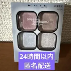 KATE ポッピングシルエットシャドウ EX-4