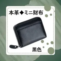 Item thumbnail for item 198e01a0-d4ae-4f12-9f07-d8dcbadcd349