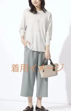 ジェイプレス J.PRESS トップス レディース 洗える 薄手 シアー ニットのサムネイル