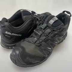 SALOMON XA PRO 3D GORE-TEX サロモン ゴアテックス
