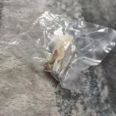 Item thumbnail for item 7e361915-7fc8-4a43-9ece-bd9fd3ddb235