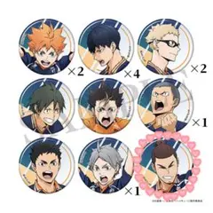 ハイキュー トレーディング缶バッジpointget