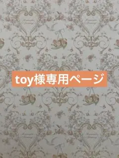 toy様専用ページ