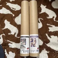 忍たま乱太郎　A3マット加工ポスター　2本セット